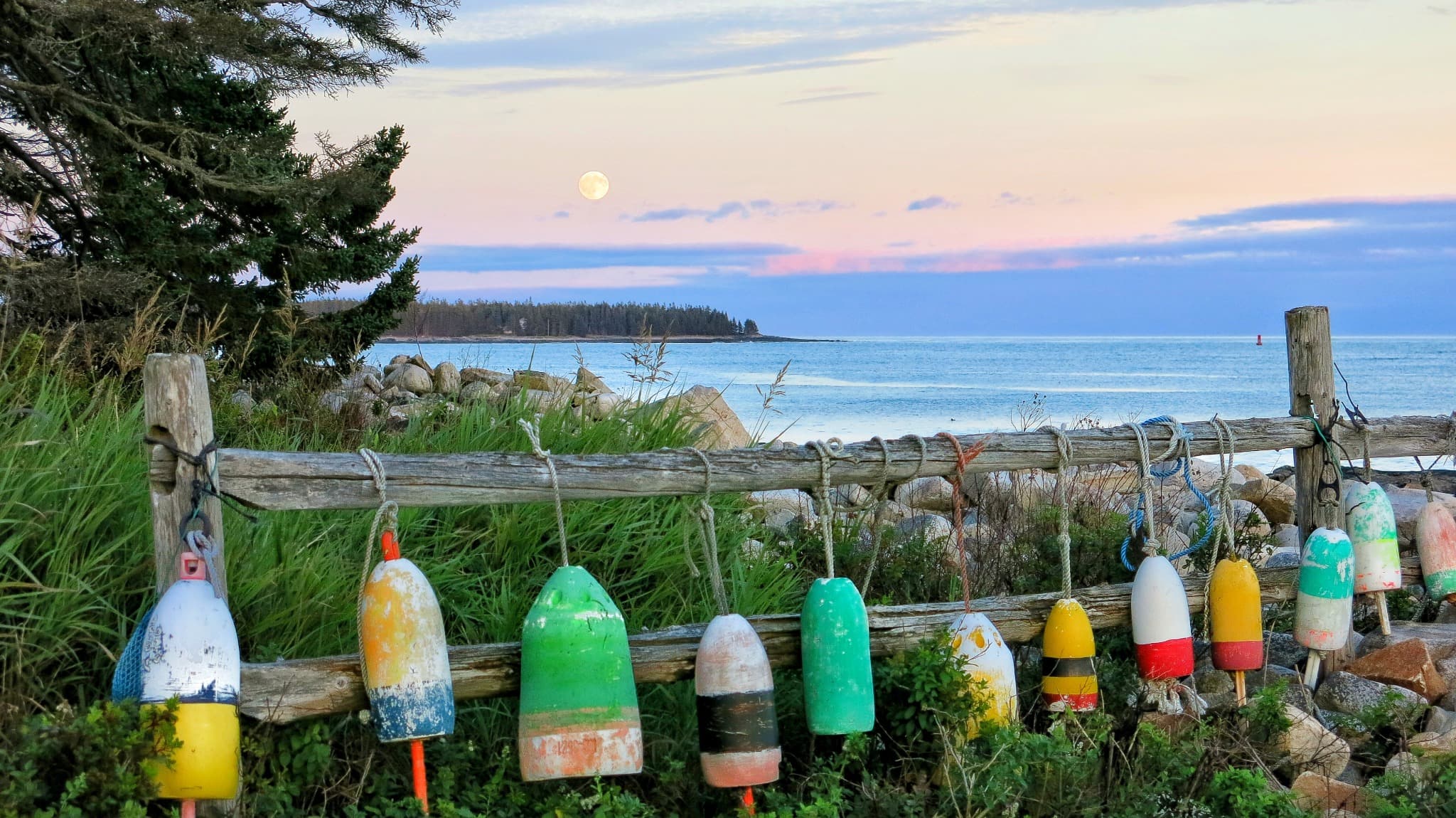 Lobster buoys along the Maine coast